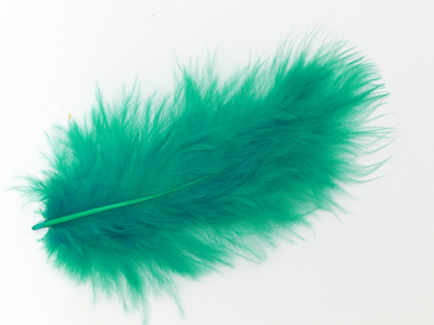 emerald grüne Federn Bild 1
