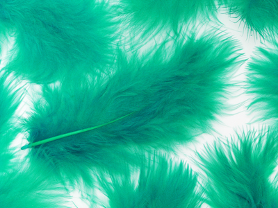 emerald grüne Federn Bild 2