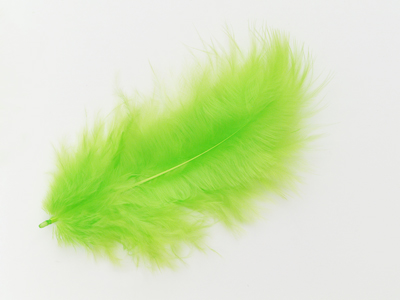hellgrüne Federn Bild 1