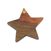 Holzelement mit Kunstharz, Stern Anhänger ~21mm