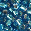 10g Miyuki 11/0 (1.6mm) Delica Perlen DB149