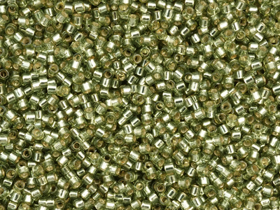 Duracoat Miyuki Delica Perlen Größe 11/0 Farbe DB2163