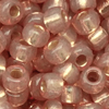 10g. Miyuki Rocailles Perlen 11/0 (~2mm) Farbe Dura Coat 4243 (Silver Lined)