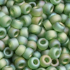 10g. Miyuki Rocailles Perlen 11/0 (~2mm) Farbe 158FR (Grün matt mit Rainbow)