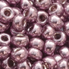 10g. Miyuki Rocailles Perlen 11/0 (~2mm) Farbe 4218 (Duracoat)