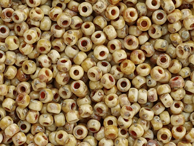 Miyuki Rocailles Saatperlen Größe 8/0 (3mm) Farbe: 4512 pica