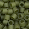 10g Miyuki 11/0 (1.6mm) Delica Perlen DB2404 mattes Olivegrün