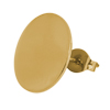 1 Paar Ohrstecker mit gewölbter Scheibe ~15mm, Edelstahl, gold
