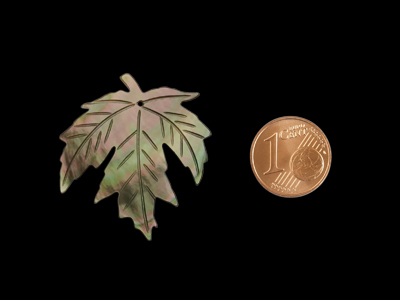 Größenvergleich