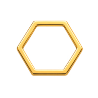 10 Stück Metallrahmen, Hexagon ~12mm, Edelstahl, gold