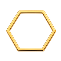 10 Stück Metallrahmen, Hexagon ~16mm, Edelstahl, gold