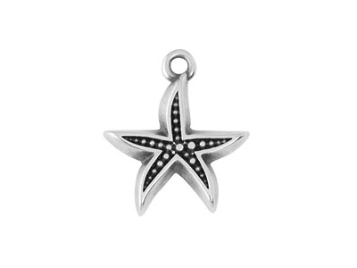 silberner Schmuckanhänger, Charm - Seestern