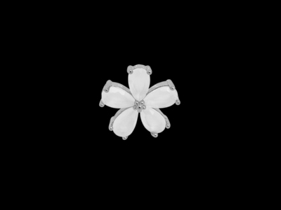 silberne Ohrstecker mit einer weißen Blume